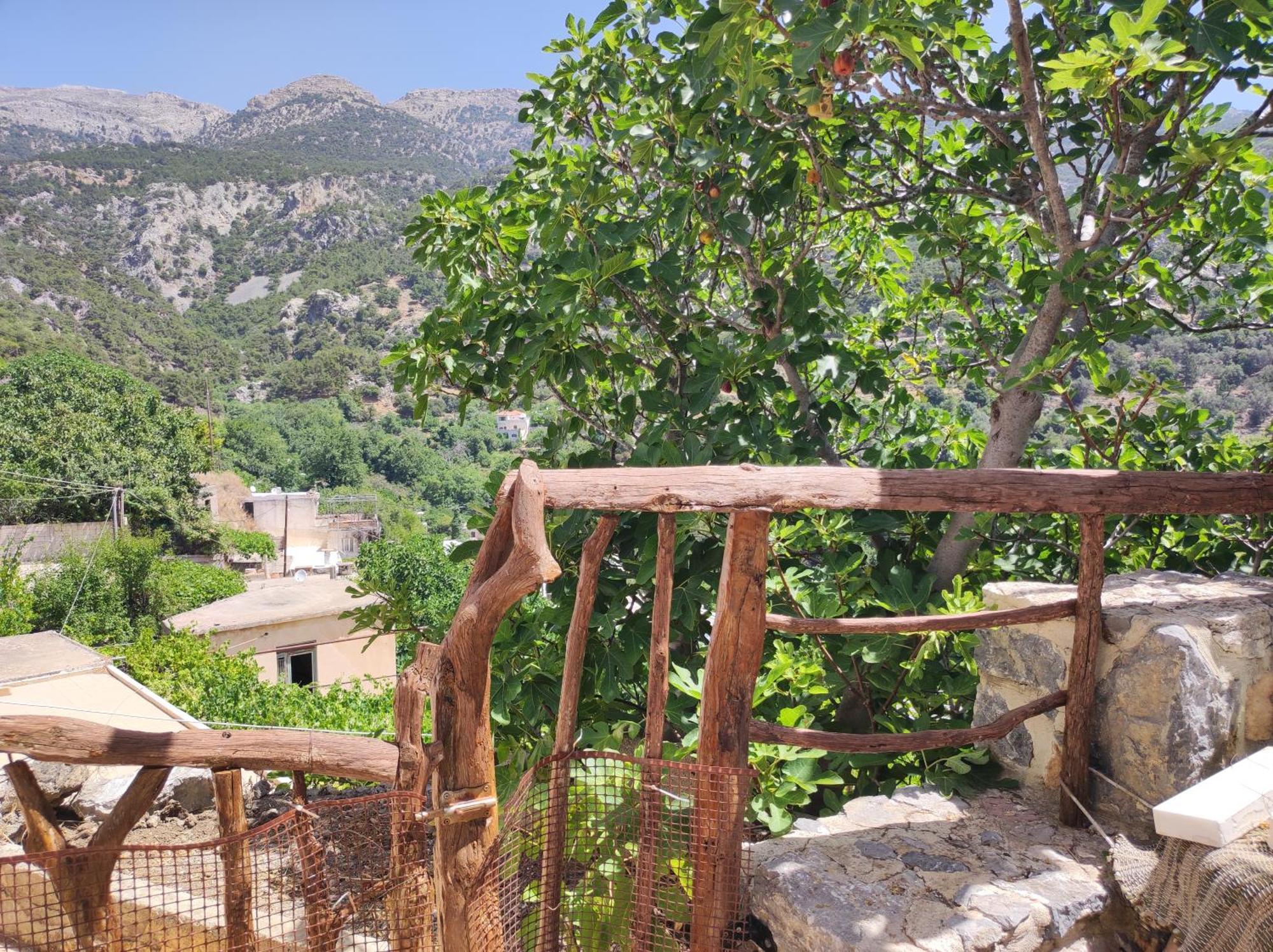 Kato Symi House Villa Kato Simi Luaran gambar
